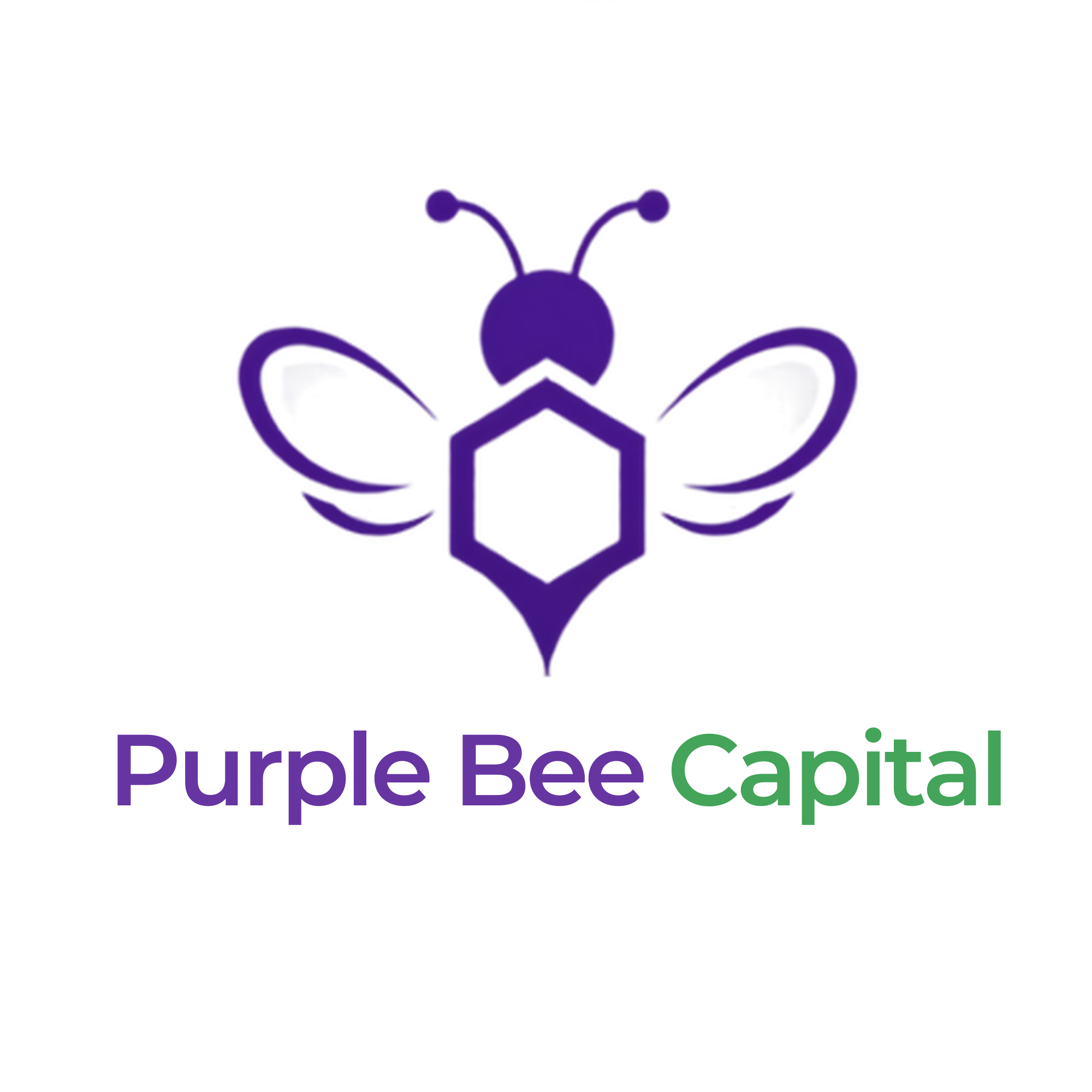 PurpleBee Capital logo